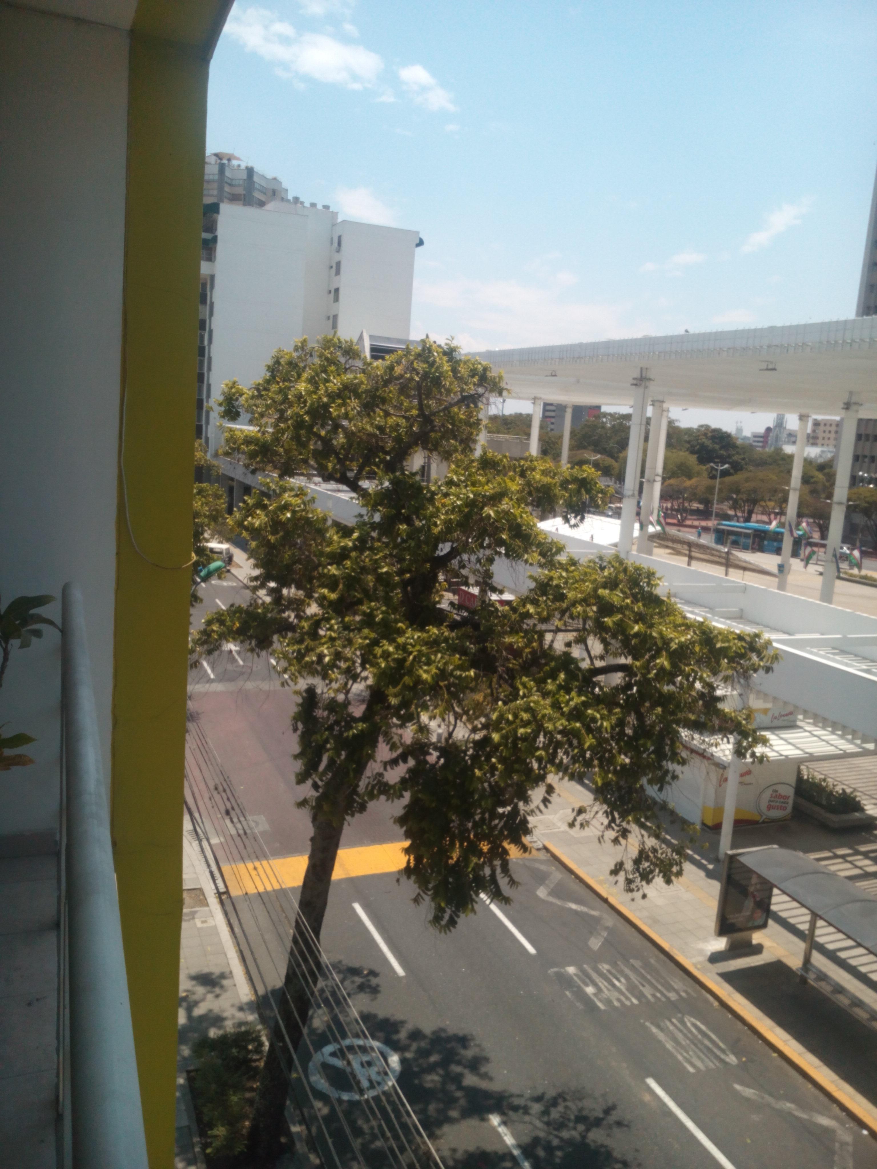Hotel Cuarta Avenida カリ エクステリア 写真